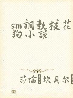 sm调教校花母狗小说