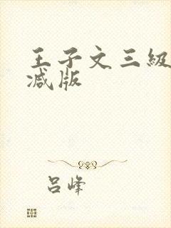 王子文三级无删减版封面