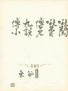 傅九傅啾啾穿越小说免费阅读