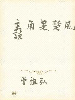 主角是楚风的小说