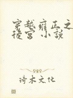 穿越雍正之极品后宫 小说封面