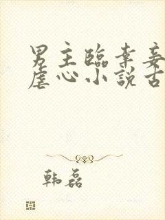 男主临幸妾室的虐心小说古言封面