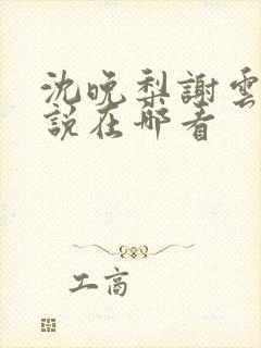 沈晚梨谢云迟小说在哪看