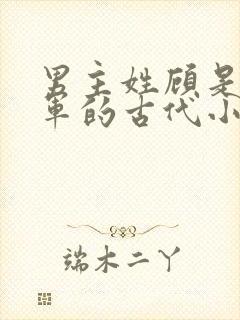 男主姓顾是个将军的古代小说