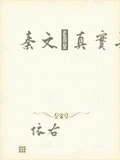 秦文玚真实长相