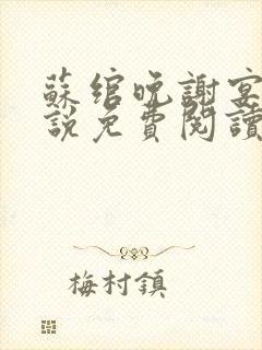 苏绾晚谢宴宁小说免费阅读无弹窗