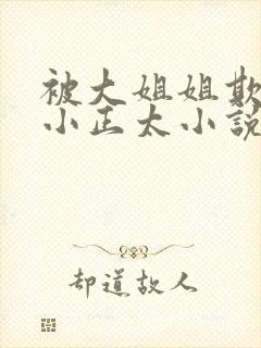 被大姐姐欺负的小正太小说