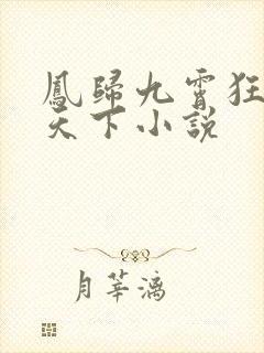 凤归九霄狂妃逆天下小说