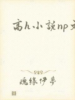 高h小说np文