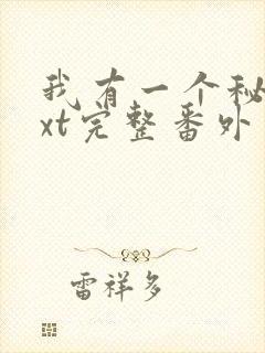 我有一个秘密txt完整番外封面