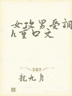 女攻男受调教高h重口文