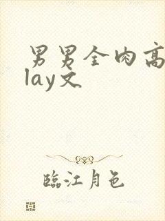 男男全肉高hplay文