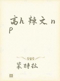 高h 辣文 np