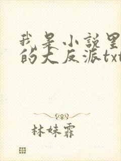 我是小说里共同的大反派txt