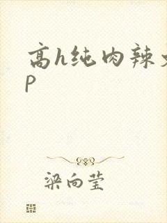 高h纯肉辣文np