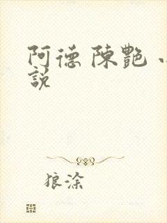 阿德 陈艳 小说封面