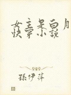 女主是白月光的快穿小说封面