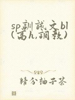sp训诫文bl(高h,调教)