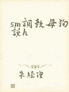 sm调教母狗小说h