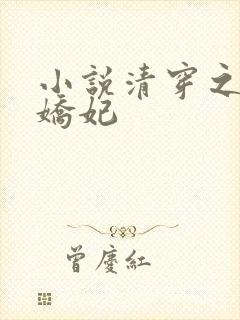 小说清穿之太子娇妃