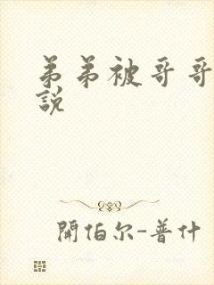 弟弟被哥哥打小说