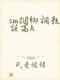 sm捆绑调教小说高h