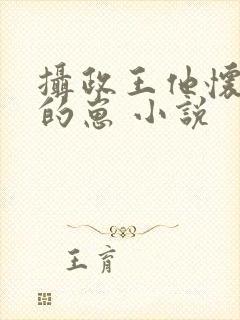 摄政王他怀了朕的崽 小说封面