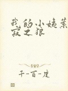 我的小姨叶凡孤寂之狼