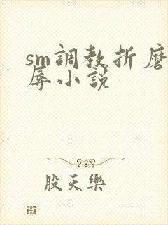 sm调教折磨羞辱小说封面