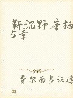 靳沉野唐栖雾25章