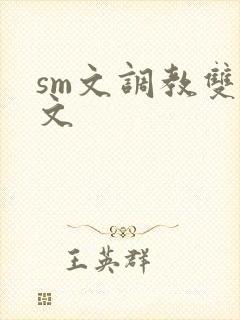 sm文调教双性文封面