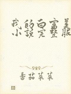 我的白富美老婆小说完整版
