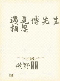 遇见傅先生无尽相思