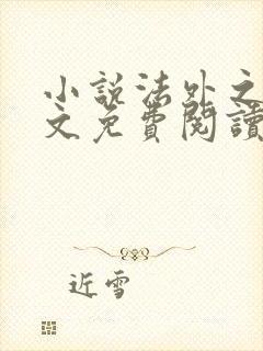 小说法外之徒全文免费阅读