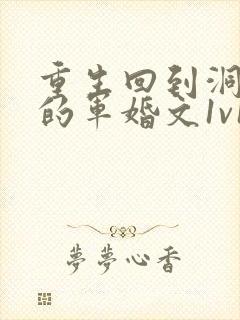 重生回到洞房夜的军婚文1v1