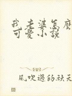 我老婆怎么这么可爱小说