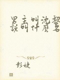 男主叫沈黎的小说叫什么名字