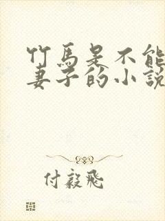 竹马是不能变成妻子的小说笔趣阁