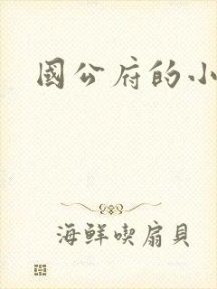 国公府的小丫鬟