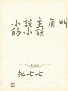 小说主角叫叶凡的小说