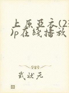 上原亚衣(23)p在线播放封面