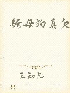 骚母狗真欠操