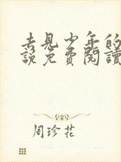 去见少年的你小说免费阅读封面