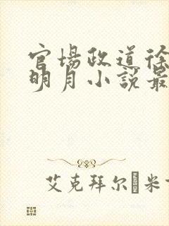 官场政道徐浪秋明月小说最新章节免费阅读封面