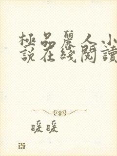 极品丽人小可小说在线阅读