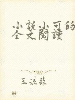小说小可的奶水全文阅读封面