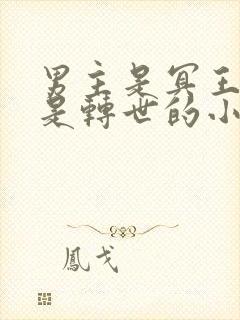 男主是冥王女主是转世的小说封面