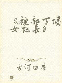 《被部下侵犯的女社长》