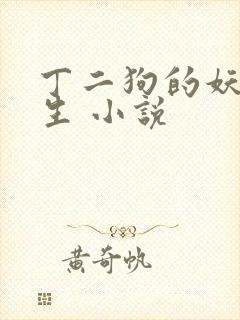 丁二狗的妖孽人生 小说封面