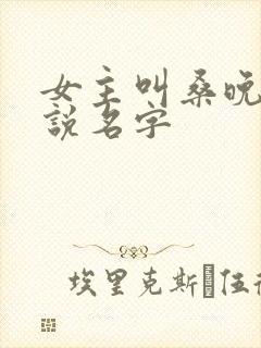 女主叫桑晚的小说名字